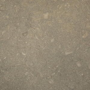 20908 Fossil grey/verde 45,7x45,7cm poleret